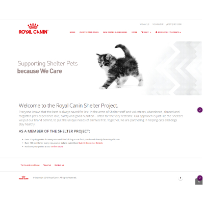 Portfolio Image